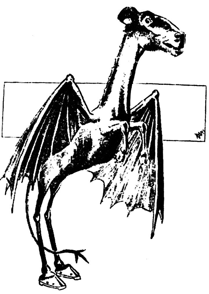 The Jersey Devil as drawn in a Philadelphia newspaper in 1909: a horse-like head on a long neck, bat wings, hooves and a forked tail